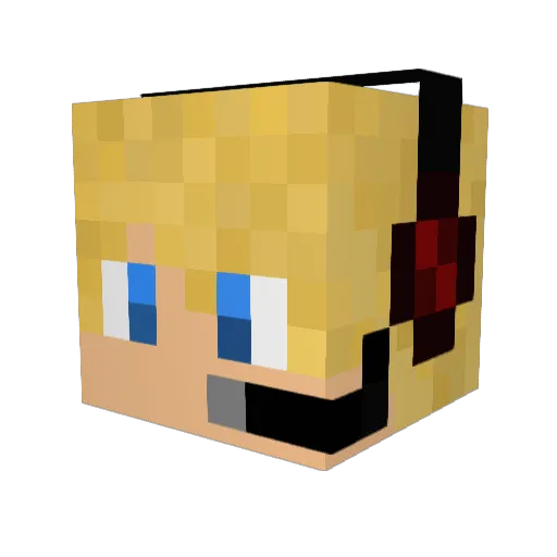 KingTyler_ Minecraft avatar head, 3D render