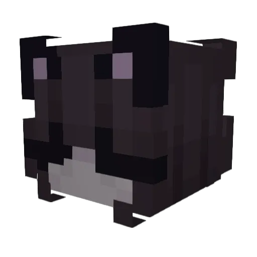 KingZane1 Minecraft avatar head, 3D render