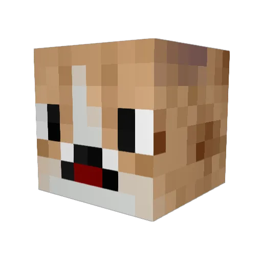 King_Corgi Minecraft avatar head, 3D render