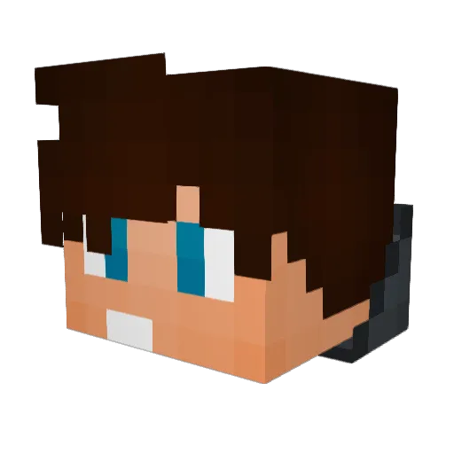 King_Crash Minecraft avatar head, 3D render