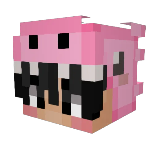 King_FOX9949 Minecraft avatar head, 3D render