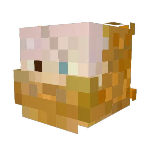 King_Fuddy Minecraft avatar head, 3D render