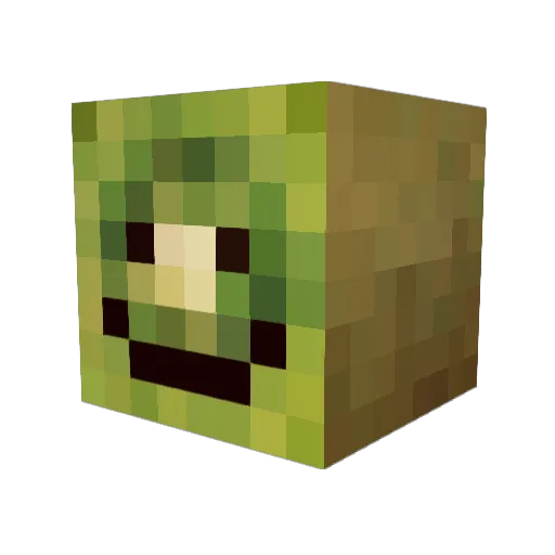 King_Jay Minecraft avatar head, 3D render