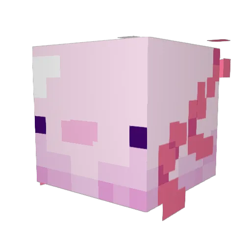 King_Lan Minecraft avatar head, 3D render