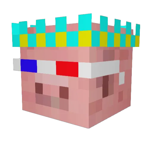 King_PiggY99 Minecraft avatar head, 3D render