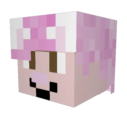 King_Snail_3706 Minecraft avatar head, 3D render