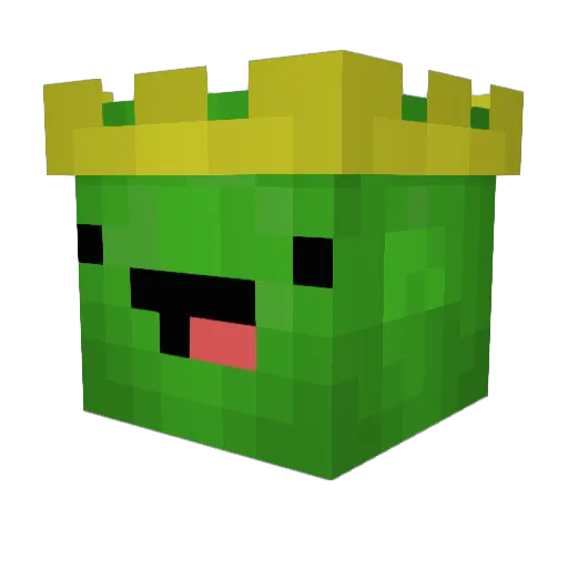King_Turtle1221 Minecraft avatar head, 3D render