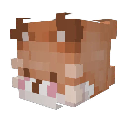 King_Verlan Minecraft avatar head, 3D render