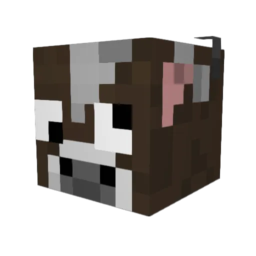 King_Zip_ Minecraft avatar head, 3D render