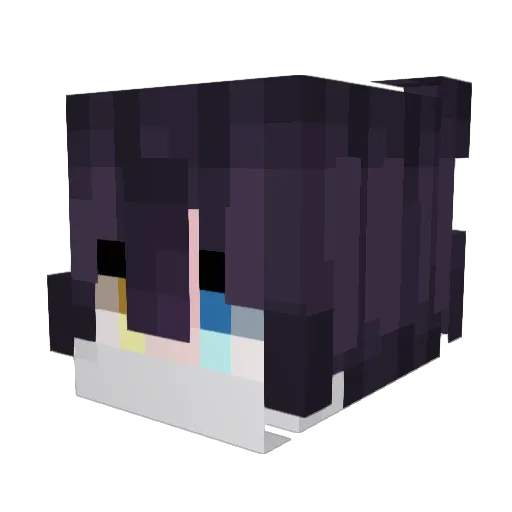 King_wa Minecraft avatar head, 3D render