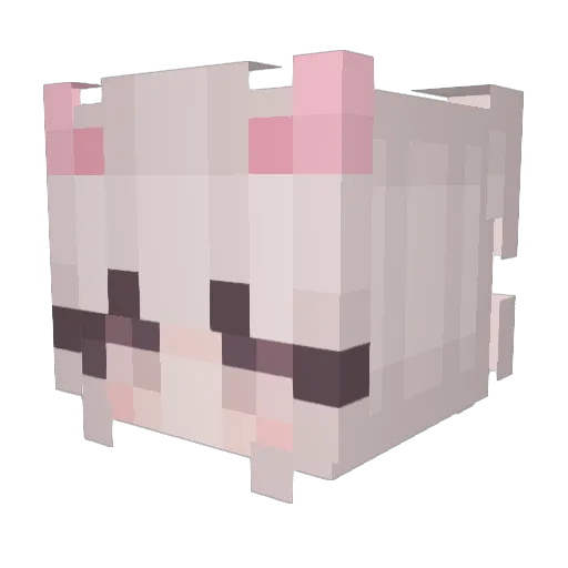 KingaKwas Minecraft avatar head, 3D render