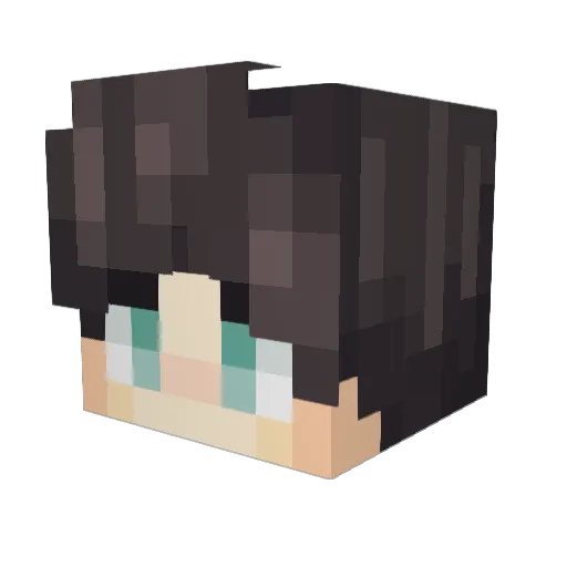 Kingdaaaa Minecraft avatar head, 3D render