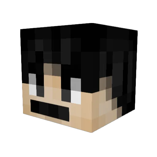 Kingdihtaker Minecraft avatar head, 3D render