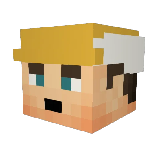 Kingdoge242 Minecraft avatar head, 3D render