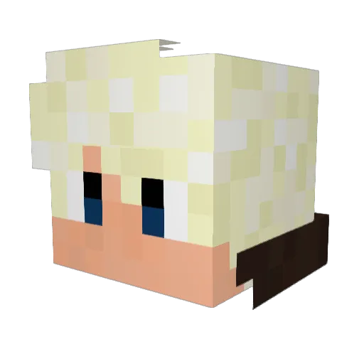 KingfisherN7 Minecraft avatar head, 3D render