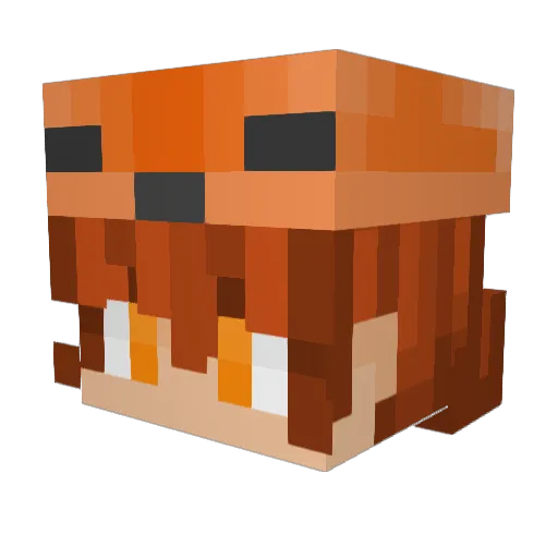 Kingfox4624 Minecraft avatar head, 3D render