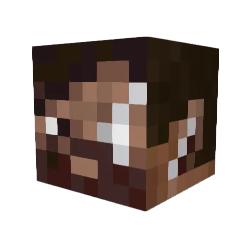 Kingkiwi4 Minecraft avatar head, 3D render