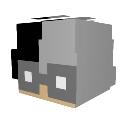 Kingkooj Minecraft avatar head, 3D render