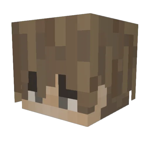 KingofDeath333 Minecraft avatar head, 3D render