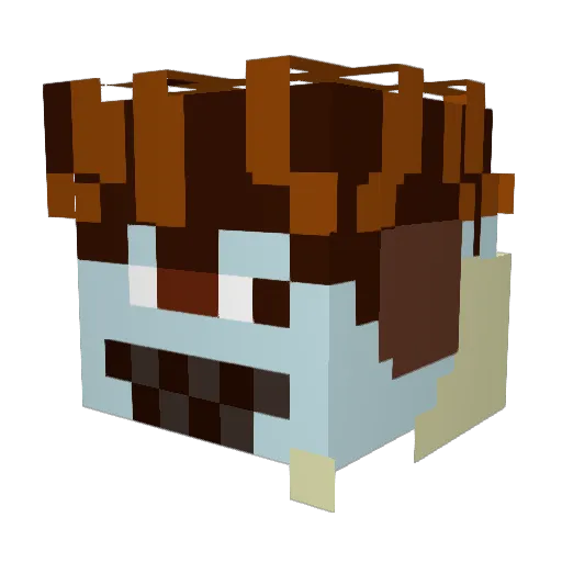 KingofParrots7 Minecraft avatar head, 3D render