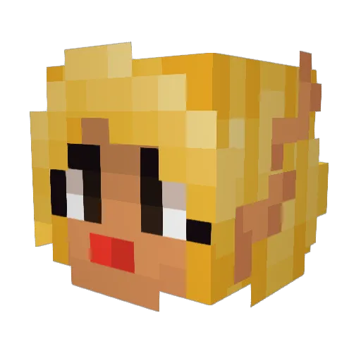 KingofSushi Minecraft avatar head, 3D render