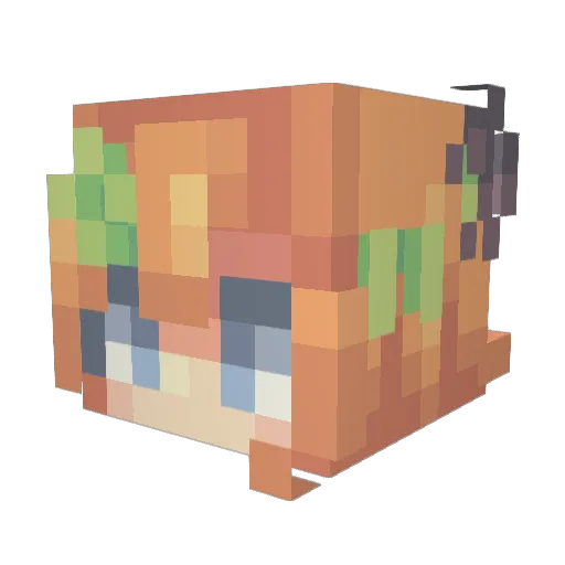 KingofTheRanch Minecraft avatar head, 3D render