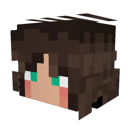 KingofValhalla9 Minecraft avatar head, 3D render