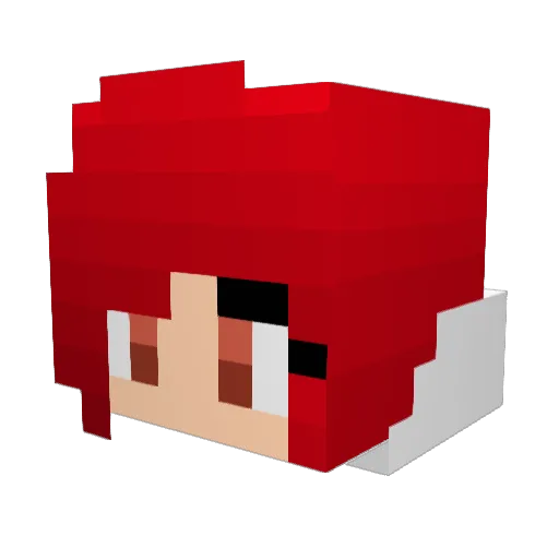 Kingquadfish Minecraft avatar head, 3D render
