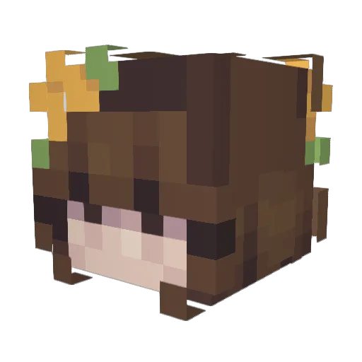 Kings_Crown Minecraft avatar head, 3D render
