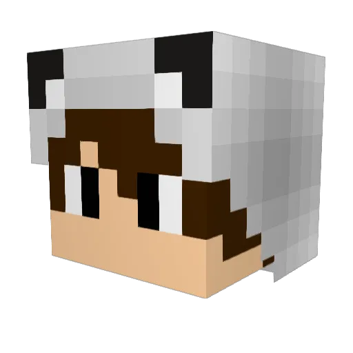 Kingssty Minecraft avatar head, 3D render