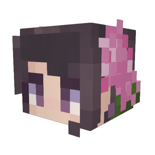 Kingston Minecraft avatar head, 3D render