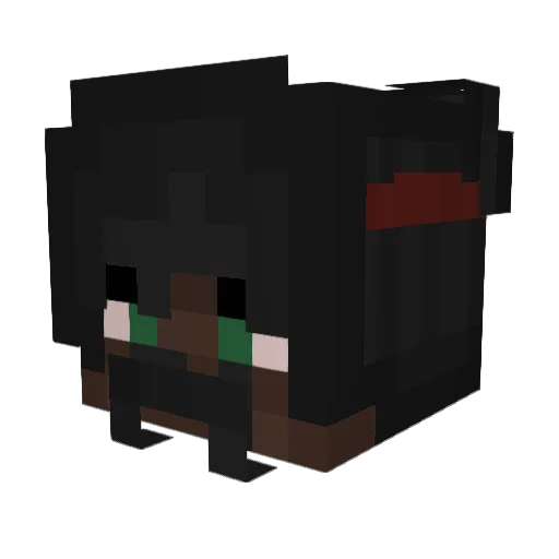 Kinguin27 Minecraft avatar head, 3D render
