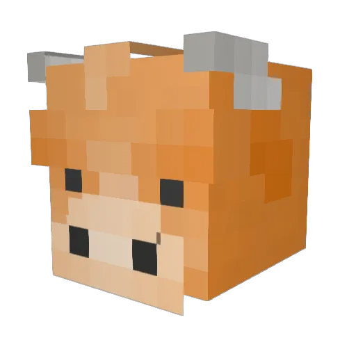 Kingwj0312 Minecraft avatar head, 3D render