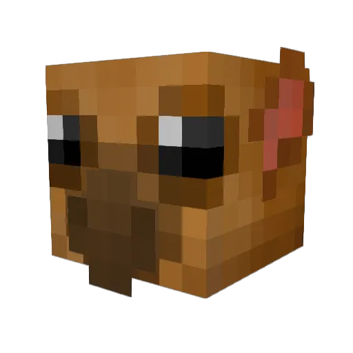 Kinkajuice Minecraft avatar head, 3D render