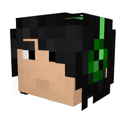 Kinkypickle Minecraft avatar head, 3D render