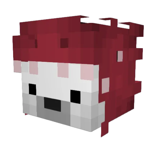 Kinnoorii Minecraft avatar head, 3D render