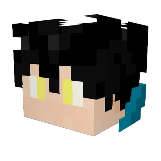 Minecraft-Avatar von KinnyRim: Kopf als 3D-Render