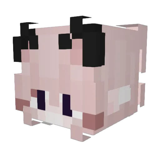 Kinz_ Minecraft avatar head, 3D render