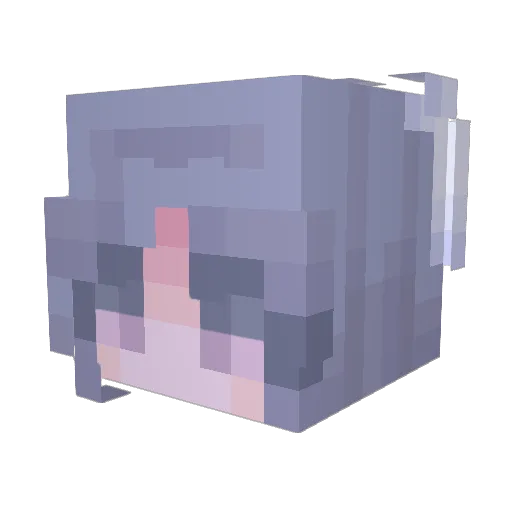 Kiolariok Minecraft avatar head, 3D render
