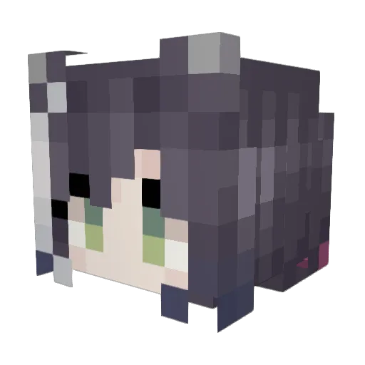 Kiomi_b Minecraft avatar head, 3D render