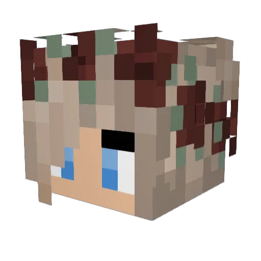 Kiowr Minecraft avatar head, 3D render