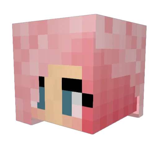 Kiplo1720 Minecraft avatar head, 3D render