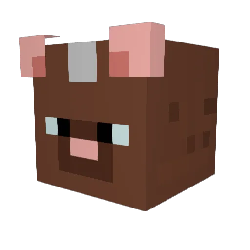 KipuK4pa Minecraft avatar head, 3D render