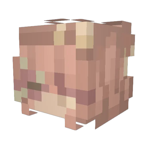 Kir_1210 Minecraft avatar head, 3D render