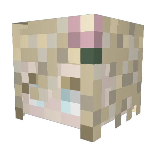 Kira1501 Minecraft avatar head, 3D render