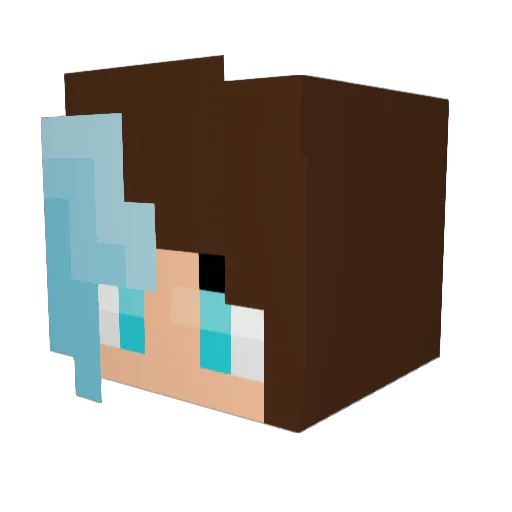 KiraLee8 Minecraft avatar head, 3D render