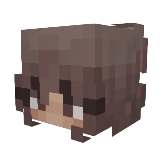Kira_FRZ Minecraft avatar head, 3D render