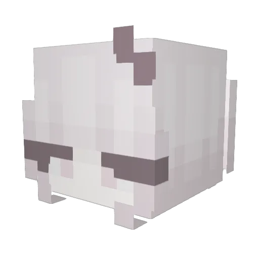 Kiraby2009 Minecraft avatar head, 3D render
