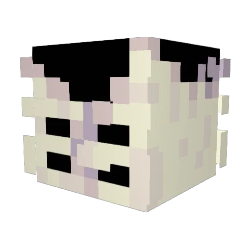 Kiraied Minecraft avatar head, 3D render