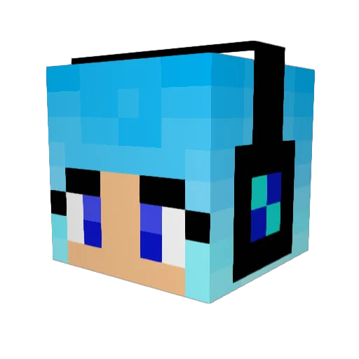 Kiraii_Night Minecraft avatar head, 3D render